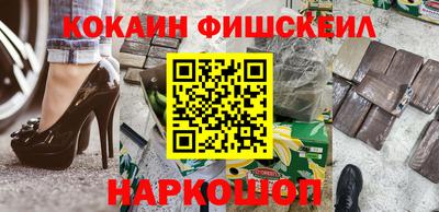 шишки Камышлов