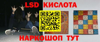 прущие грибы Кандалакша