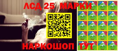 шишки Камышлов