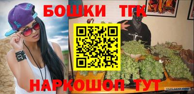 прущие грибы Кандалакша