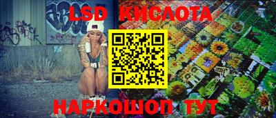 прущие грибы Кандалакша