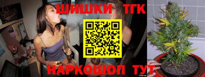 прущие грибы Кандалакша