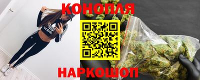 шишки Камышлов