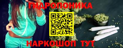 шишки Камышлов