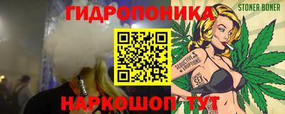 прущие грибы Кандалакша