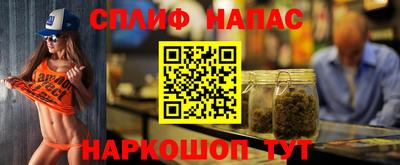 шишки Камышлов