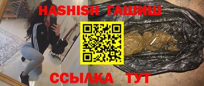 шишки Камышлов