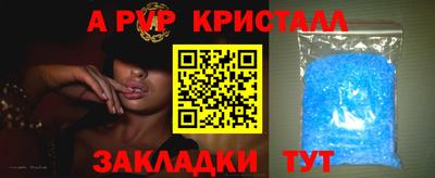шишки Камышлов