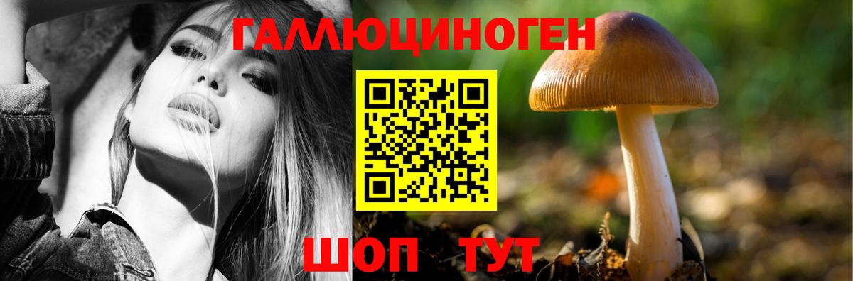 сколько стоит  Вход с VPN  Кувандык  Псилоцибиновые грибы Psilocybe 