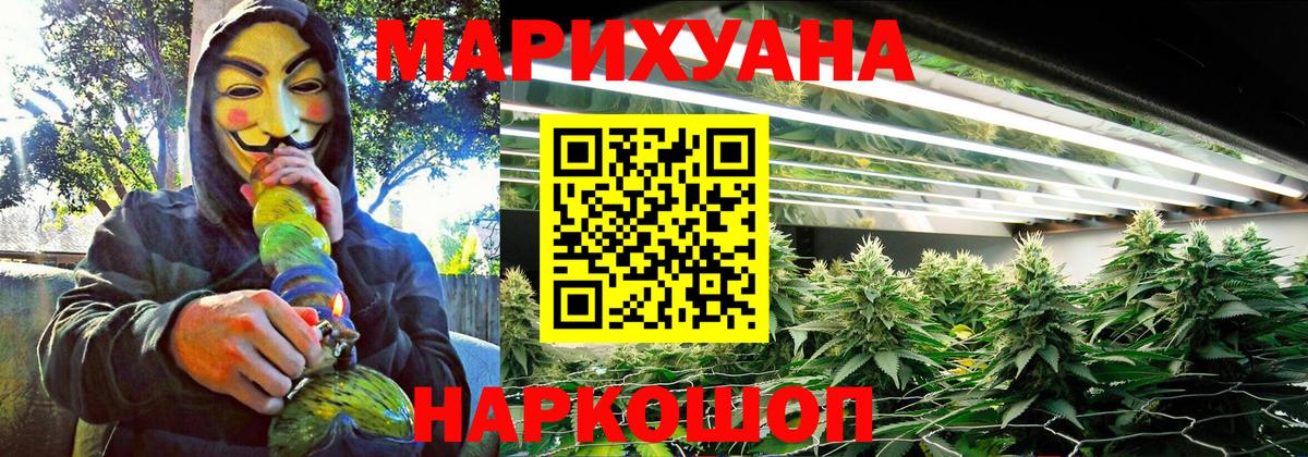 Канабис планчик Кувандык